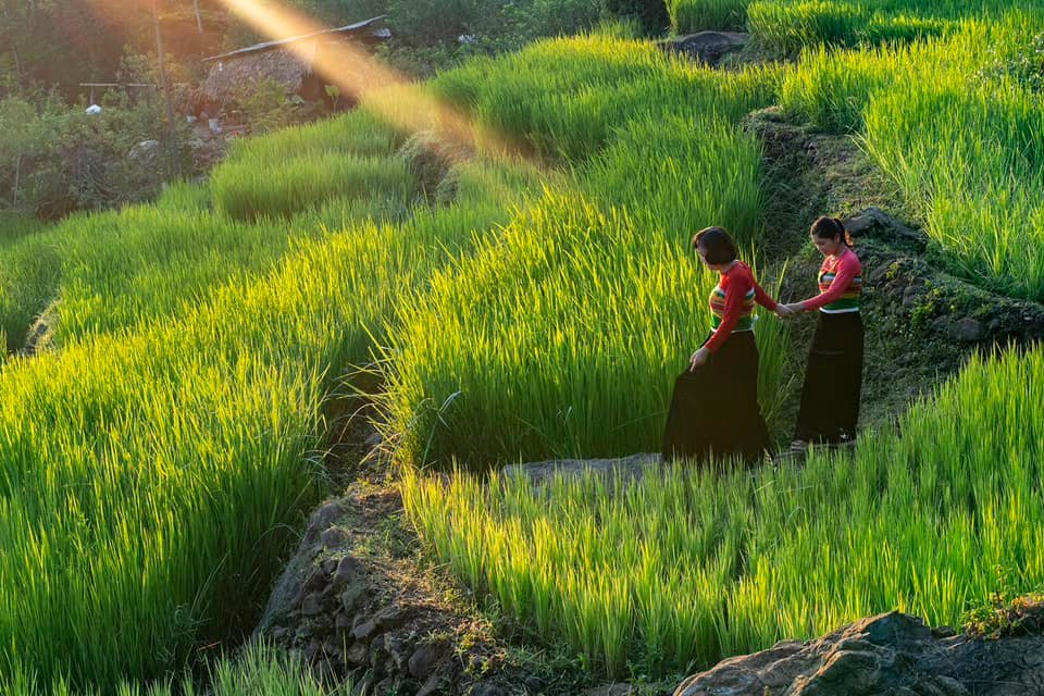 7 Days Northern Vietnam Hidden Trekking Tours